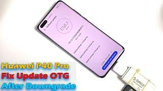 Huawei P40 Pro Fix Update OTG After Downgrade & Install Google Play Store