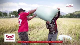 AGRITV FEBRUARY 10, 2019 EP YANMAR RizalsonBambang Nueva Vizcaya