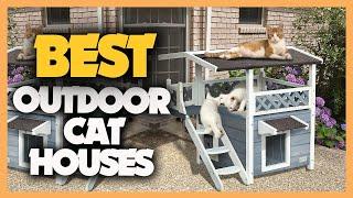 10 Best Outdoor Cat Houses 2023