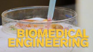 Biomedical Engineering