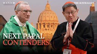 Papal succession: The cardinals next in line