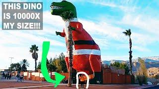 Biggest Dinosaur in the World & Cabazon Shopping Outlets | Desert Road Trip