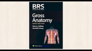 CBM138. BRS Gross Anatomy - Wolters Kluwer (2019) [PDF]