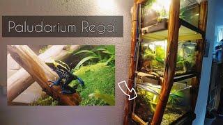 Regenwald / Paludarium Regal - Terrarien für Pfeilgiftfrösche (Regenwald Bewohner)