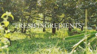 Selamat datang di YouTube Channel Fresh Ingredients