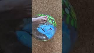 Beach ball Feet Pop