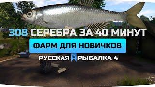 ФАРМ СЕРЕБРА для НОВИЧКОВ ● РАЗДАЧА МУХИ ● Русская Рыбалка 4
