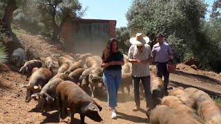 VIDA RURAL - CAPÍTULO 2: EDUARDO DONATO