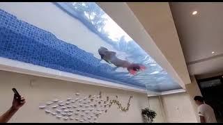 A Mermaid swimming on the roof