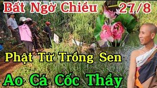 Chiều Nay Tại Cốc Sư Minh Tuệ.Phật T.ử Đem Sen Đến C.ấm Thêm Vào Bình...