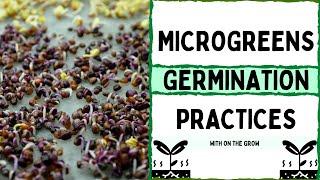 Microgreen Germination Practices - On the Grow