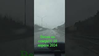 #весна2024_18апреля#жизньнасевере#жизньпродолжается