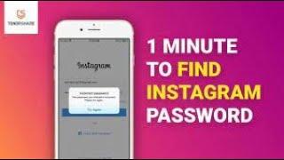 how to reset instagram password without email or phone number