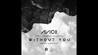 Avicii - Without You ft. Sandro Cavazza (ELPORT remix)