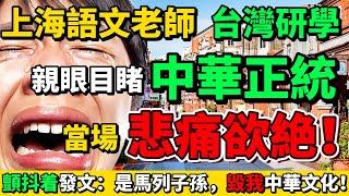 上海語文老師台灣研學，親眼目睹「中華正統」，結果當場泣不成聲！顫抖著發文「中國這群馬列子孫，毀了我們的中華文化！」