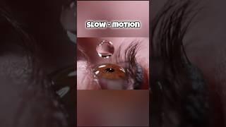 Part 1  How things looks in slow motion #youtubeshorts #facts#shortsfeed #shortsvideo