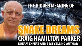 Dreams About Snakes - What do dreams about snakes mean?