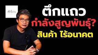 ตึกแถวกำลังสูญพันธุ์? จาก Prime Location สู่สินค้าที่ไร้อนาคต ตึกแถวกำลังหายไป