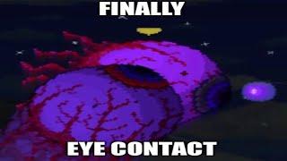 Terraria Memes 10