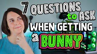 Top 7 Questions to Ask when Getting a Bunny! 