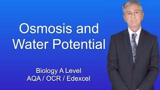 A Level Biology Revision "Osmosis and Water Potential"