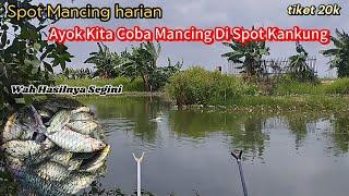 MANCING DISPOT BARU - MENIKMATI MANCING IKAN MUJAER - EMPANG BANG APIH tiket 20k