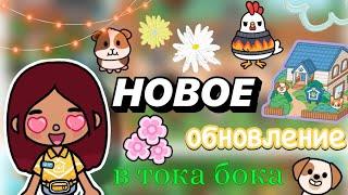 НОВАЯ ЛОКАЦИЯ в тока бока  / Toca Boca World / toca boca / тока бока / Secret Toca