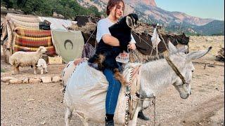 Iranian nomadic lifeExciting donkey ride with Fatima, I rode a donkey again #اسبسواري #الاغ_سواري