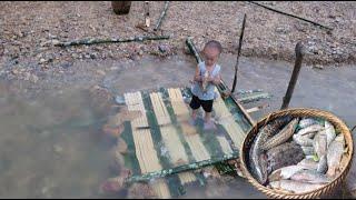 Son and mother make traps to catch stream fish / ly tam ca