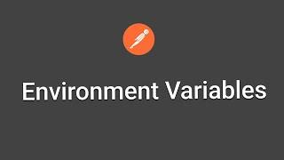 How to set postman environment variables