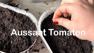 Tomaten Aussaat   | Tomaten selbst anbauen | Gemüseaussaat | Gemüseanbau |Tomatenliebe | Garten