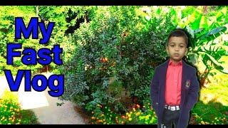 My Fast Vlog || 2 मिनट में विडीयो Vairl @Shivramsingh4436