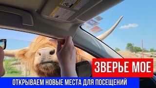 ЗВЕРЬЕ МОЕ ОТКРЫВАЕМ НОВЫЕ МЕСТА ДЛЯ ПОСЕЩЕНИЙ