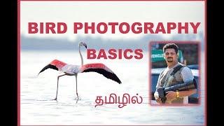 BIRD PHOTOGRAPHY | BASICS|  TAMIL PHOTOGRAPHY