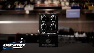 Ampeg Scrambler Bass Overdrive Quickview - Cosmo Music