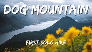 Dog Mountain | First Solo Hike