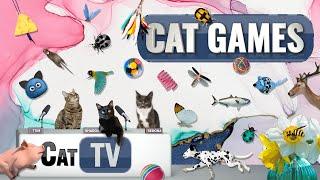 CAT Games | Ultimate Cat TV Compilation Vol 49 | 2 HOURS 