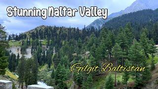 Naltar Valley Gilgit Baltistan - Summer