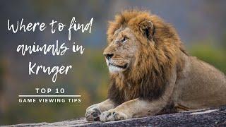 Where to find animals in the Kruger National Park | Top 10 game viewing tips