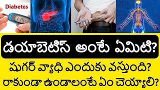 How to Control Diabetes in Telugu | What is Diabetes | Sugar Disease in Telugu Badi Health Videos