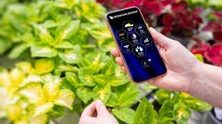 Best Free 15 plants identification apps 2024 | Top indoor or outdoor Plant App for Identity and Care