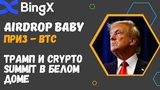 ТРАМП БУДЕТ ПРОВОДИТЬ CRYPTO SUMMIT В БЕЛОМ ДОМЕ / БИРЖА BINGX - AIRDROP МОНЕТЫ BABY / ДЕЛАЕМ ДЕНЬГИ