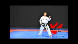 Yul-Gok by Jaroslaw Suska - www.tkd-blackbelt.com