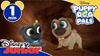 Puppy Dog Pals | Music Video "Amo la terra" - Disney Junior Italia