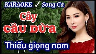 Cây Cầu Dừa - Karaoke Thiếu Giọng Nam - Song Ca Cùng Phương Thy - Nhạc Sống Thái Tài