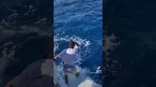 Marlin fishing Mozambique  #fish #fishing #water #fish #marlin