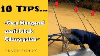 10 TIPS cara megenal pasti lubuk udang galah || Fishing in the river