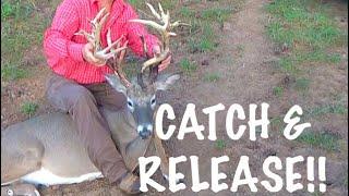 CATCH & RELEASE MONSTER WHITETAIL BUCKS at Hollis Farms