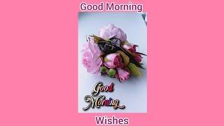 Good Morning Wishes 