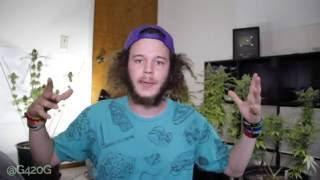 S6 Cont Wrap Up, HARVEST Discussion! Green Crack!!! Bubba Kush!!!